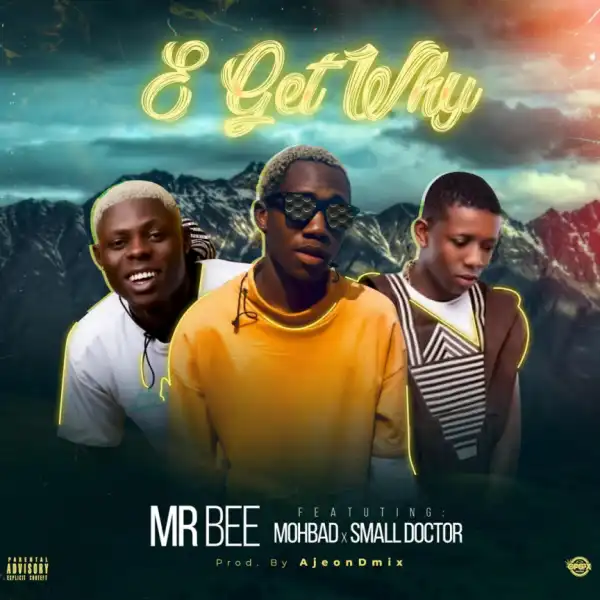 Mr Bee - E Get Why (Prod. by Ajeondmix) ft. Small Doctor & Mohbad